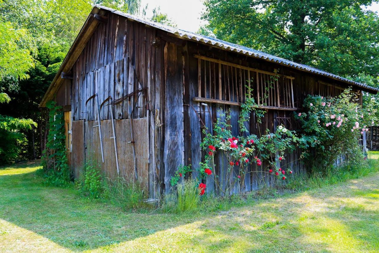 Gasthaus & Pension Am Kurfuerstendamm Burg im Spreewald Eksteriør billede