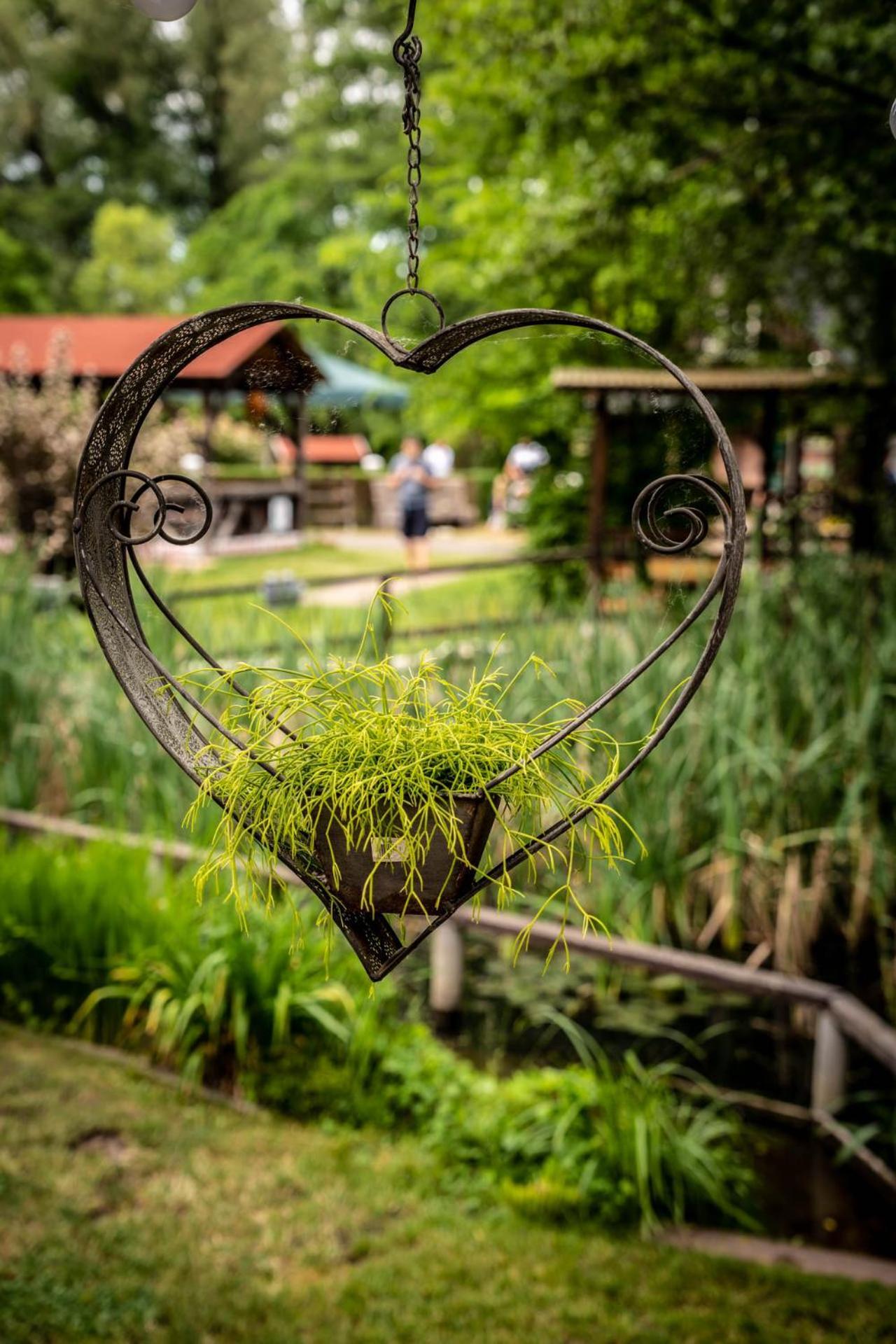 Gasthaus & Pension Am Kurfuerstendamm Burg im Spreewald Eksteriør billede