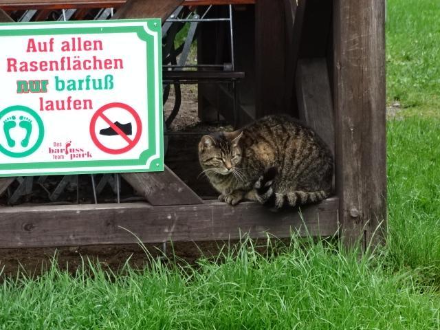 Gasthaus & Pension Am Kurfuerstendamm Burg im Spreewald Eksteriør billede